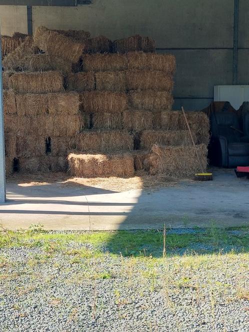 Kleine bot hooi, Dieren en Toebehoren, Dierenvoeding, Ophalen