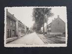 Postkaart Rijkevorsel Steenweg op Oostmalle, Ophalen of Verzenden, 1940 tot 1960, Ongelopen, Antwerpen