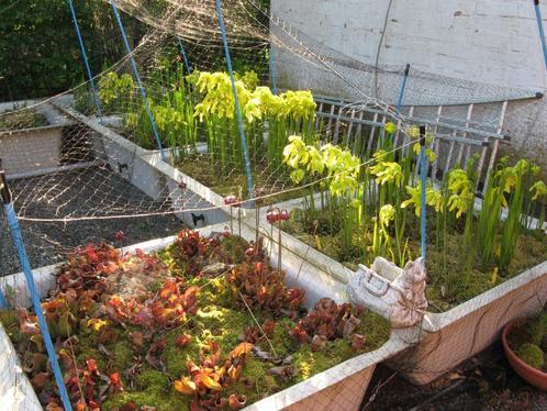 Vijver-moerasbakken polyester, Tuin en Terras, Waterpartijen en Fonteinen, Ophalen