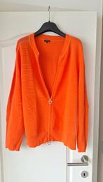 Vestje Caroline Biss maat 46, Caroline Biss, Ophalen of Verzenden, Zo goed als nieuw, Maat 46/48 (XL) of groter
