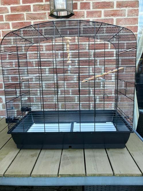 SUPER LUXE GROTE VOGELKOOI 78X78X48 CM: 70 EURO, Dieren en Toebehoren, Vogels | Hokken en Kooien, Nieuw, Vogelkooi, Overige materialen