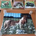 lot kleine posters, Ophalen, Nieuw