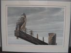 Robert Bateman litho gesigneerd Red tailed hawk, Antiek en Kunst, Ophalen of Verzenden