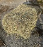 Kleine botjes hooi, Dieren en Toebehoren