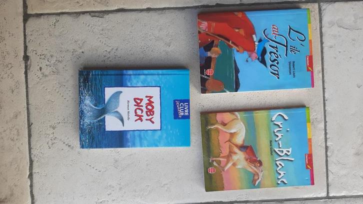 île au trésor Crin-blanc Moby Dick, Livres, Grossesse & Éducation, Utilisé, Éducation à partir de 10 ans, Enlèvement