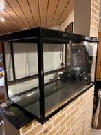 Reptiel bak, Antiek en Kunst, Antiek | Woonaccessoires, Ophalen of Verzenden