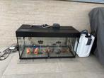 Volledige kweekinstallatie vissen, L-nummers: aquarium, pomp, Ophalen of Verzenden