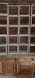 20 tentoonstellingskooitjes, Dieren en Toebehoren, Vogels | Hokken en Kooien, Ophalen, Gebruikt, Hout, Overige typen