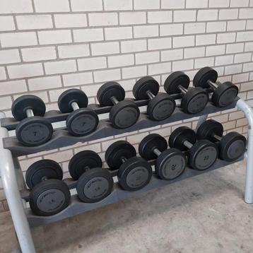 Technogym Dumbells Set 7 kilo tot 22 kilo + Technogym Rack  beschikbaar voor biedingen