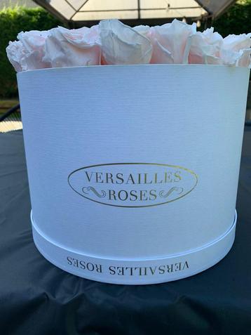 Eeuwige rozen “Roze Versailles”