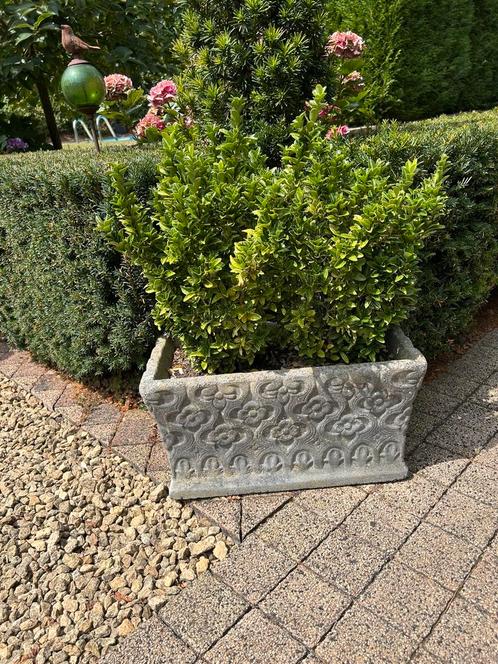 Betonnen plantenbakken 2stuks fraai gedecoreerd, Tuin en Terras, Bloembakken en Plantenbakken, Ophalen