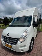 Knappe en luxe Renault MTM  paardenwagen! 2013 - Automaat!, Dieren en Toebehoren, Ophalen