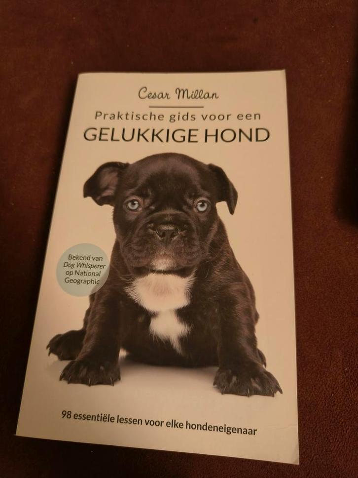 Cesar Millan - Praktische gids voor een gelukkige hond, Boeken, Dieren en Huisdieren, Ophalen