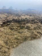 Kuilvoer, Zakelijke goederen, Landbouw | Veevoer, Ophalen