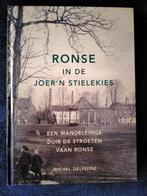 Ronse in de joer"n stielekies. Michel Delfosse, Ophalen of Verzenden