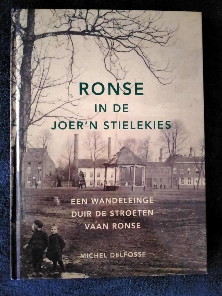 Ronse in de joer"n stielekies. Michel Delfosse, Livres, Histoire & Politique, Enlèvement ou Envoi