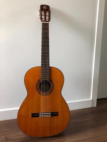 Guitare classique Suzuki n34