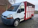 Renault Master voor veevervoer, Achat, Entreprise, 2 portes, Diesel