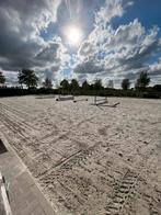 Paardrijles, Dieren en Toebehoren, Paarden
