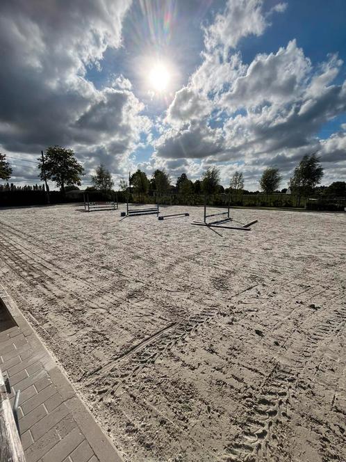 Paardrijles, Dieren en Toebehoren, Paarden