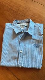 Hemd jongens Tommy Hilfiger, Overhemd of Blouse, Ophalen of Verzenden, Jongen, Tommy Hilfiger