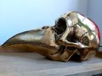 Gepolijst brons. Grote snavelvormige schedel/schedel, Ophalen of Verzenden
