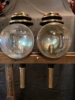 Lanternes de calèche, Animaux & Accessoires