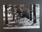 Postkaart Opgrimbie Eirendreef ( Maasmechelen ), Ophalen of Verzenden, 1940 tot 1960, Ongelopen, Limburg