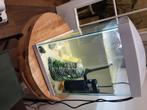 Aquarium klein model., Ophalen, Gebruikt