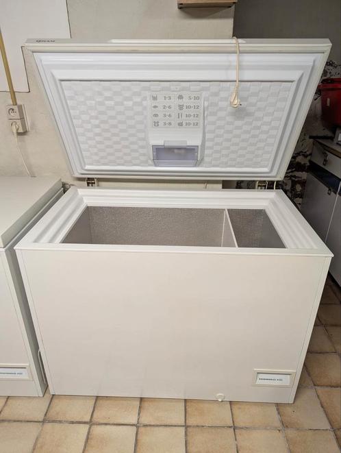 Gram FBL250 diepvriezer, Elektronische apparatuur, Vriezers en Diepvrieskisten, Zo goed als nieuw, Ophalen