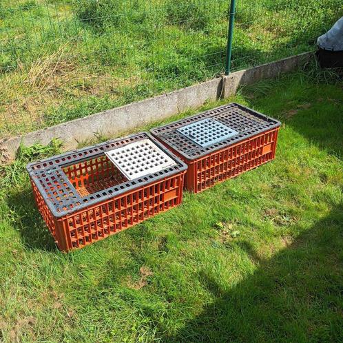 transportkooi, Dieren en Toebehoren, Vogels | Hokken en Kooien, Gebruikt, Overige typen, Kunststof, Ophalen