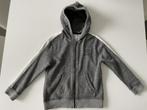 Grijze trainingsvest van ZARA maat 122, Kinderen en Baby's, Kinderkleding | Maat 122, Sport- of Zwemkleding, Ophalen of Verzenden