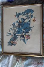 cadres avec des imprimés d'oiseaux, Enlèvement ou Envoi