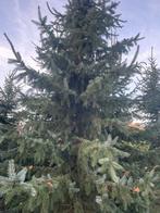 Kerstbomen, Diversen, Kerst, Ophalen