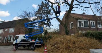 Snoeier op Hoogte (38u) beschikbaar voor biedingen