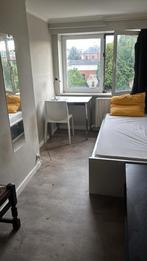 Kamer te huur, Hasselt