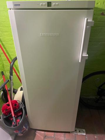Diepvriezer, Congélateur, Utilisé, 60 à 90 cm, Autoportant