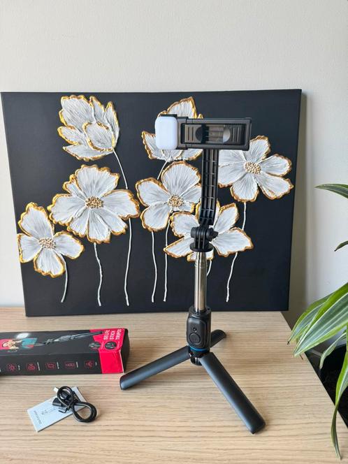 6-in-1 Selfiestick met Statief, Verlichting en Afstandsbedie, Audio, Tv en Foto, Fotografie | Statieven en Balhoofden, Zo goed als nieuw