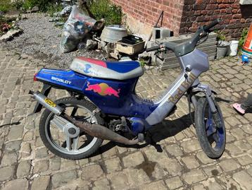 Honda wallaroo beschikbaar voor biedingen