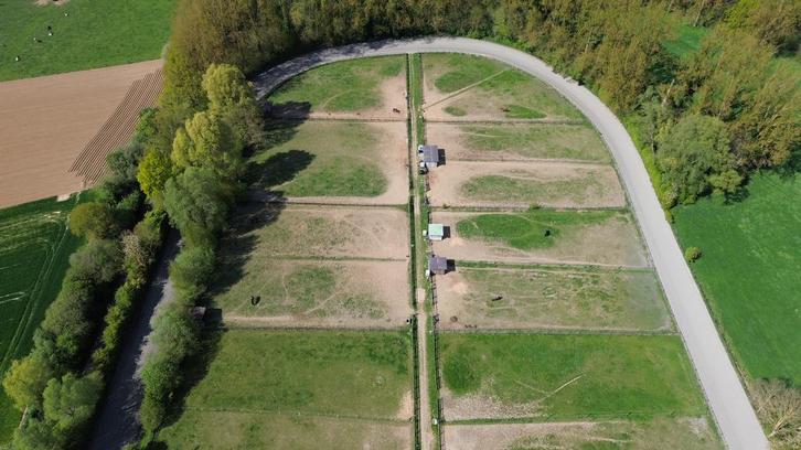 Stalling, Dieren en Toebehoren, Stalling en Weidegang, 2 of 3 paarden of pony's