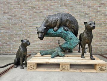 Bronzen groot luipaard met 2 jongen IS ECHT EEN KOOPJE LEES! beschikbaar voor biedingen