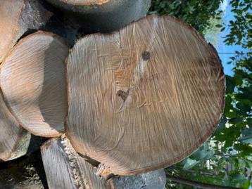 Hout voor haard of kampvuur  beschikbaar voor biedingen