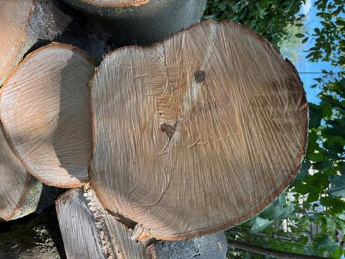Hout voor haard of kampvuur, Huis en Inrichting, Haarden, Gebruikt, Overige soorten, Ophalen
