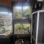 2x evi reptile paludarium, Dieren en Toebehoren, Ophalen, Gebruikt