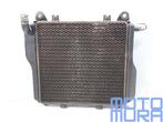 Radiateur voor de Kawasaki GPZ 1000 RX 1985 - 1988 GPZ1000RX, Motoren, Gebruikt