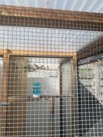 Distelvinken, Dieren en Toebehoren, Vogels | Overige Vogels, Mannelijk, Wildzangvogel, Geringd