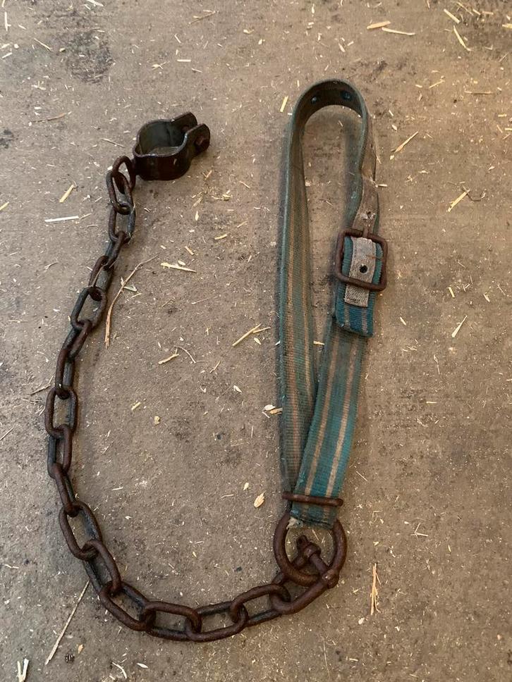 Ceintures et ferronnerie étable de contention, Animaux & Accessoires, Box & Pâturages, Mise à l'étable