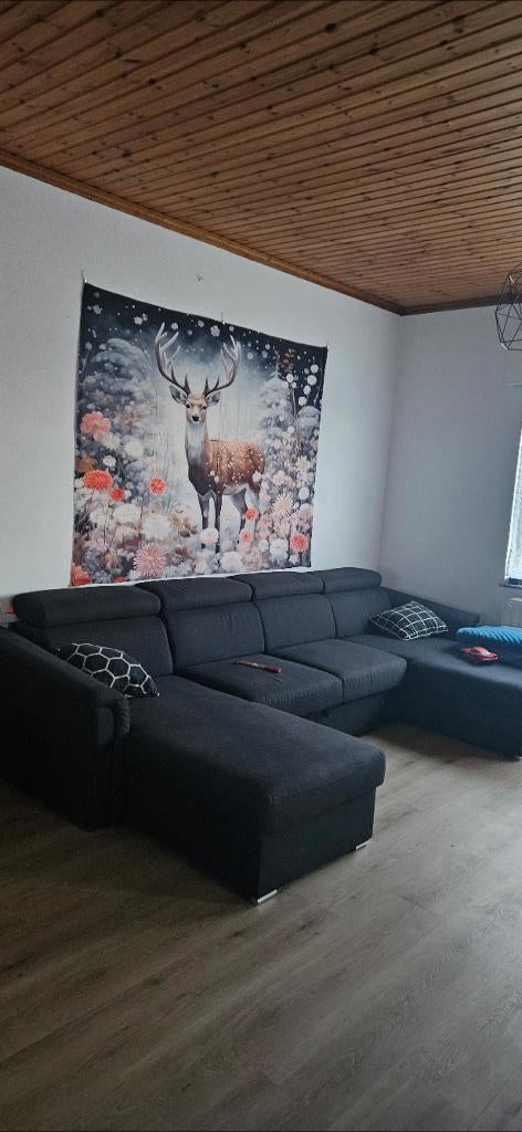 Canapé  en U convertible, Maison & Meubles, 150 cm ou plus, Quatre personnes ou plus, Enlèvement, Utilisé