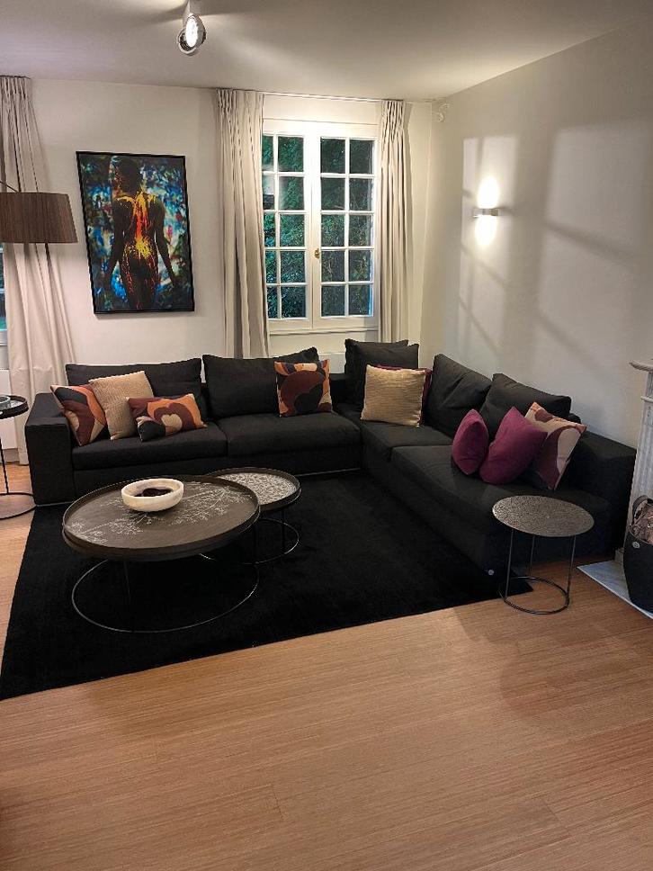 Flexform, PIÈCE DE BASE, Maison & Meubles, Canapés | Salons, Utilisé, Banc d'angle, Quatre personnes ou plus, 200 à 250 cm, 75 à 100 cm