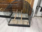 Fife fancy TT kooien, Dieren en Toebehoren, Ophalen, Zo goed als nieuw